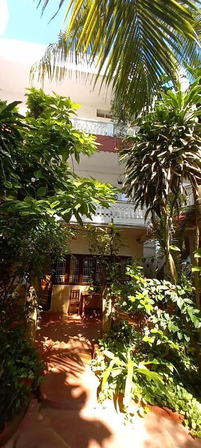 Daphne Hotel Mahabalipuram Exterior foto